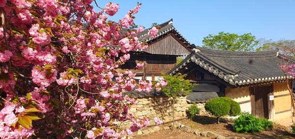 4월을 맞아 한꺼번에 피어난 예쁜 꽃들