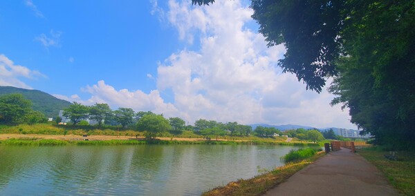 사진작가 이상호 선생의 동네한바퀴