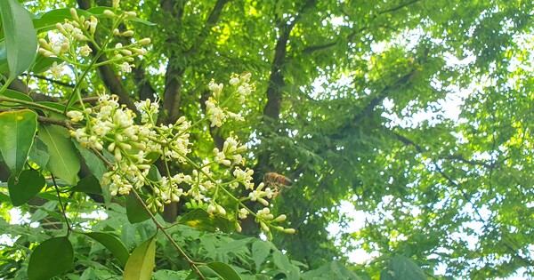 사진작가 이상호 선생의 동네한바퀴