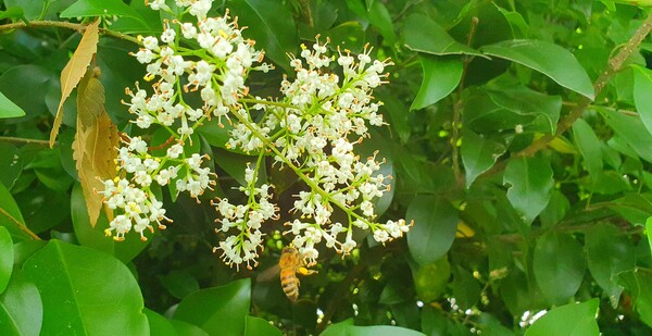 사진작가 이상호 선생의 동네한바퀴