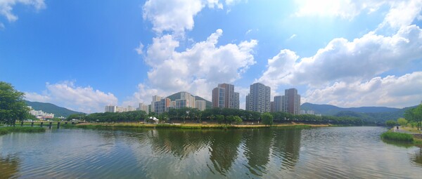 사진작가 이상호 선생의 동네한바퀴