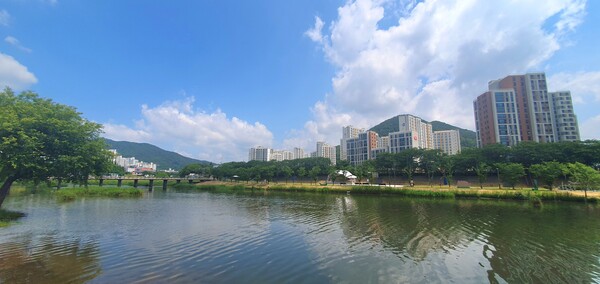 사진작가 이상호 선생의 동네한바퀴