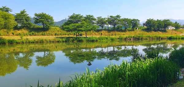 순천의 여름 풍경을  사진으로  담다