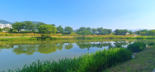 순천의 여름 풍경을  사진으로  담다