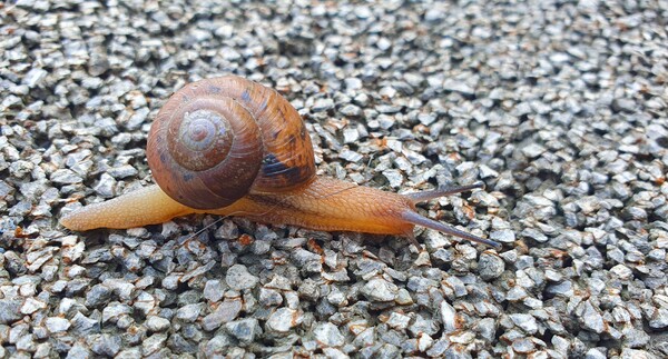 순천의 여름 풍경을  사진으로  담다