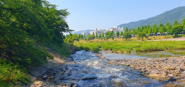 순천의 여름 풍경을  사진으로  담다