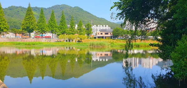 순천의 여름 풍경을  사진으로  담다