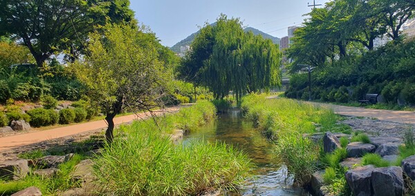 순천의 여름 풍경을  사진으로  담다