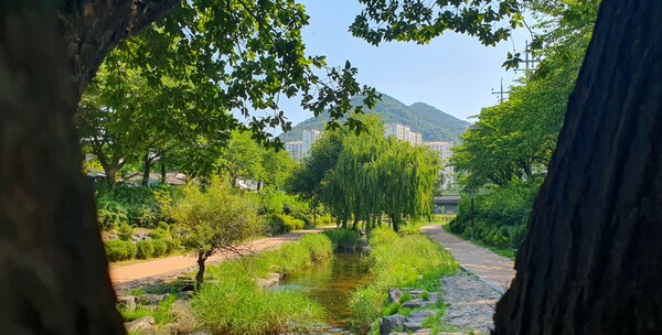 순천의 여름 풍경을  사진으로  담다