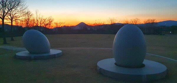 순천만의  1월 풍경