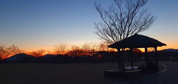 순천만의  1월 풍경