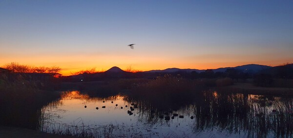 순천만의  1월 풍경