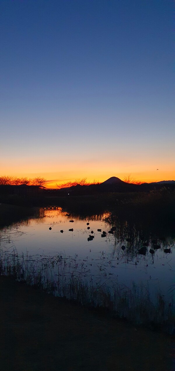 순천만의  1월 풍경