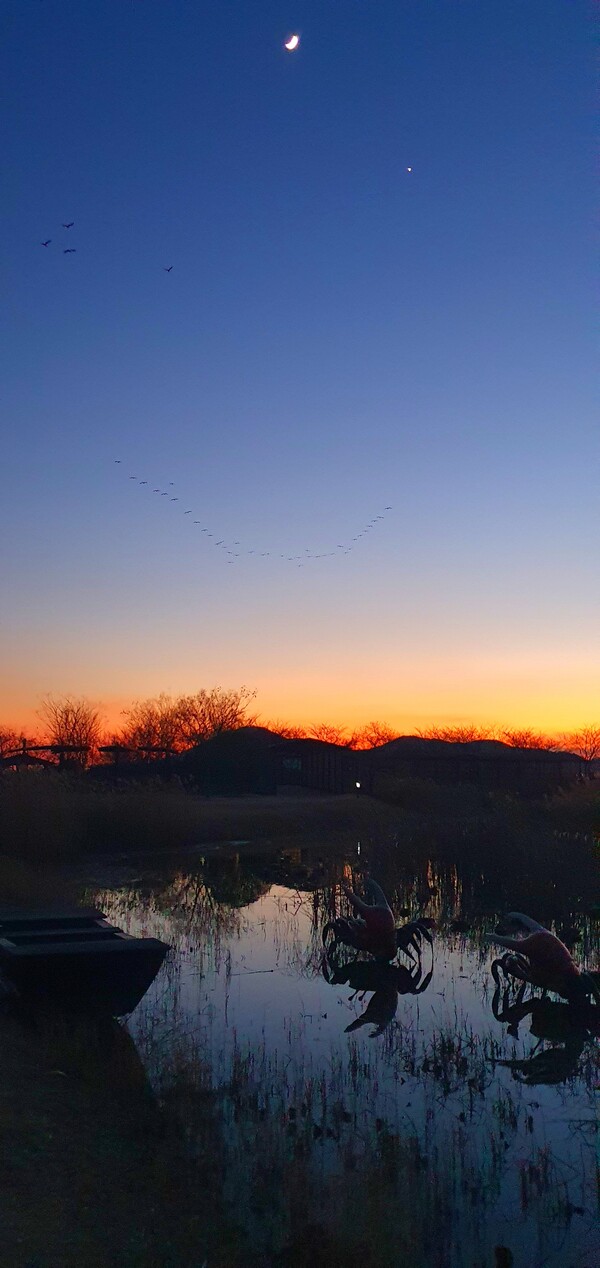 순천만의  1월 풍경
