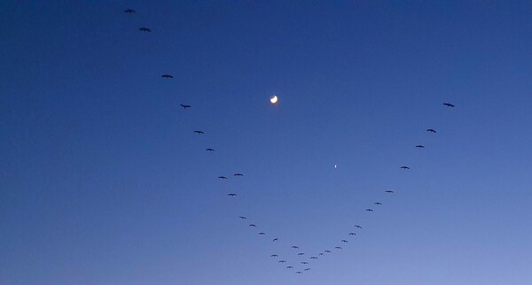 순천만의  1월 풍경