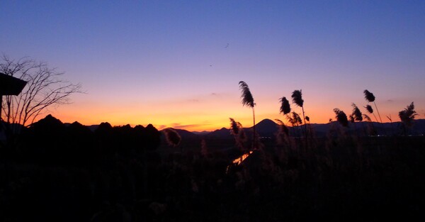 순천만의  1월 풍경