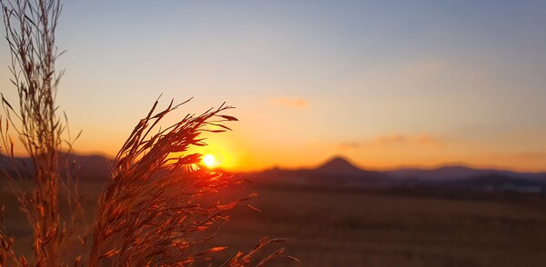 순천만의  1월 풍경