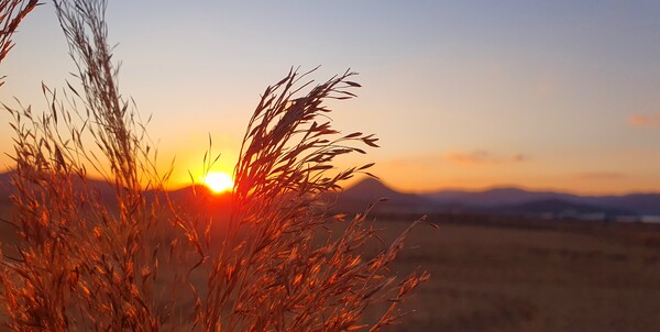 순천만의 1월 풍경