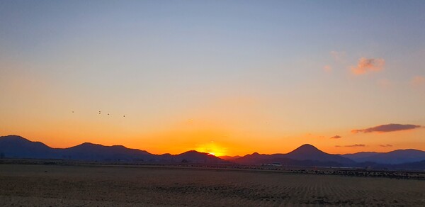 순천만의 1월 풍경