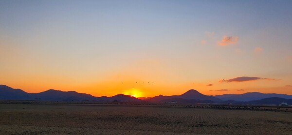 순천만의 1월 풍경