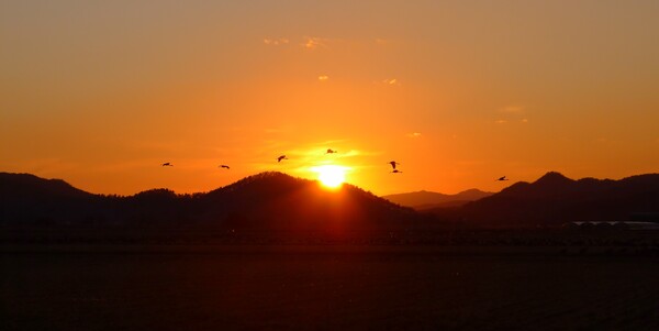 순천만의 1월 풍경