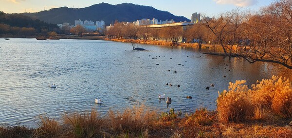 청원 이상호 선생의 동네 한바퀴 순천만국가정원의 겨울 풍경