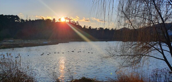 청원 이상호 선생의 동네 한바퀴 순천만국가정원의 겨울 풍경
