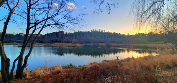 청원 이상호 선생의 동네 한바퀴 순천만국가정원의 겨울 풍경
