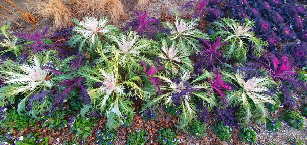 순천만 국가정원의 겨울풍경