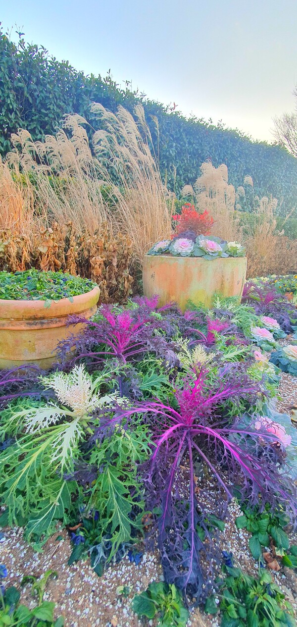 순천만 국가정원의 겨울풍경