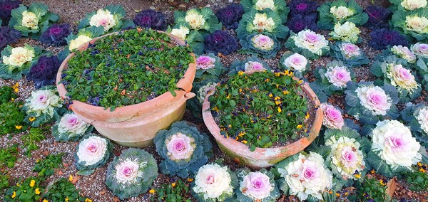 순천만 국가정원의 겨울풍경