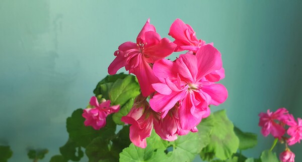 순천만 국가정원의 겨울풍경