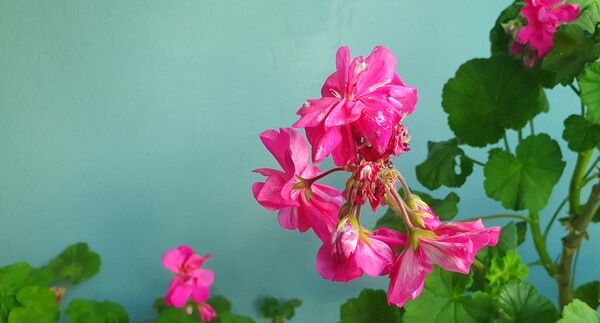 순천만 국가정원의 겨울풍경