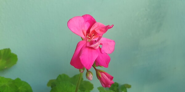 순천만 국가정원의 겨울풍경