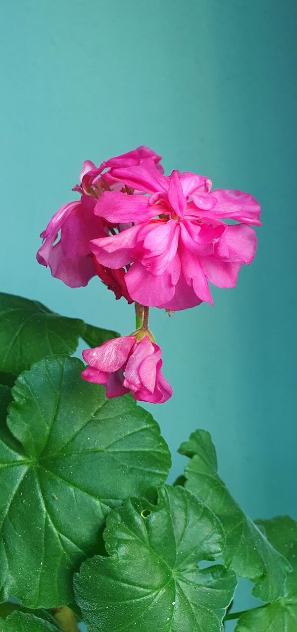 순천만 국가정원의 겨울풍경