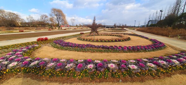 순천만 국가정원의 겨울풍경