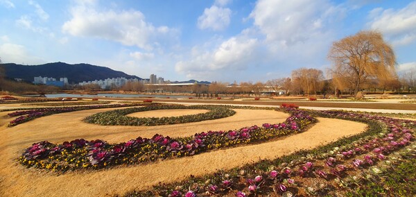순천만 국가정원의 겨울풍경