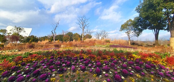 순천만 국가정원의 겨울풍경