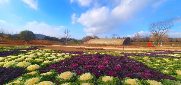 순천만 국가정원의 겨울풍경