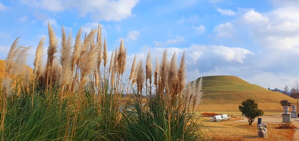순천만 국가정원의 겨울풍경