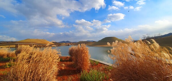 순천만국가정원의 겨울풍경