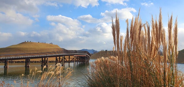 순천만국가정원의 겨울풍경