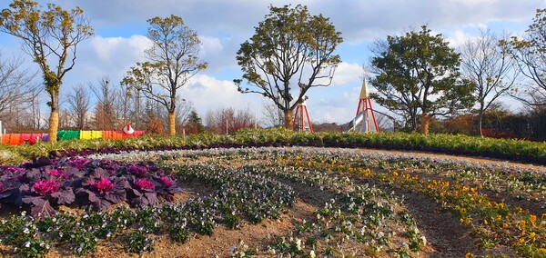 순천만국가정원의 겨울풍경