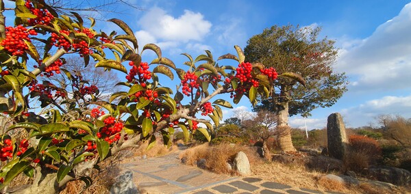 순천만국가정원의 겨울풍경