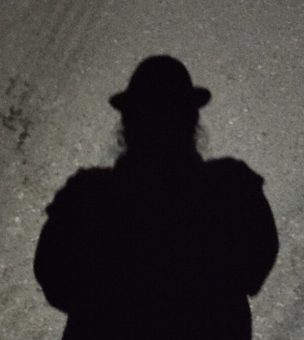 칼럼리스트 달마도월