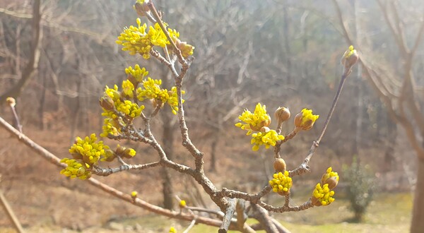 사진작가  청원  이상호  선생의  동네 한바퀴