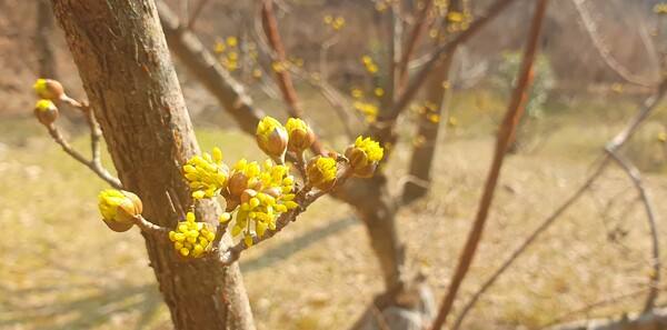 사진작가  청원  이상호  선생의  동네 한바퀴