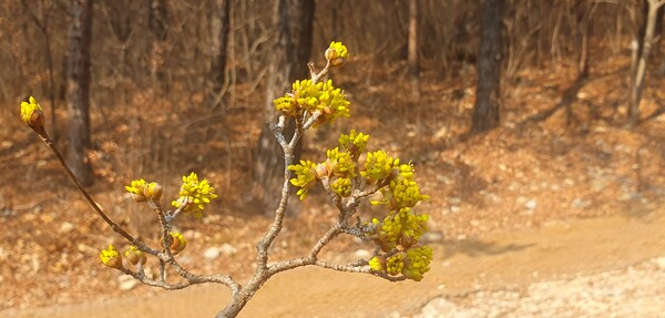 사진작가  청원  이상호  선생의  동네 한바퀴