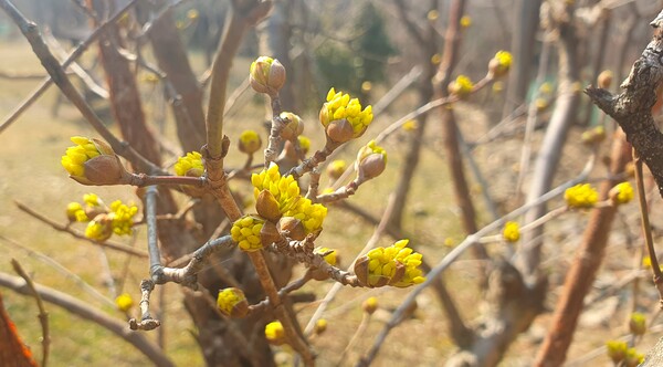 사진작가  청원  이상호  선생의  동네 한바퀴