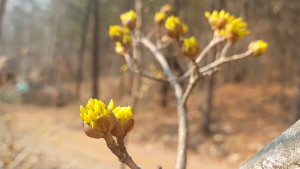 사진작가  청원  이상호  선생의  동네 한바퀴